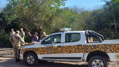 Los animales estaban en un campo vecino, que pasaron -se presupone- porque los alambrados estaban caídos.