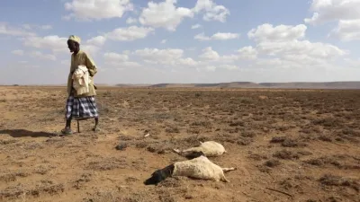 Según el Banco Mundial, el cambio climático puede hacer migrar a 216 millones de personas