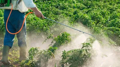 El trabajo lo realizó la UNR sobre personas jóvenes de pueblos fumigados.