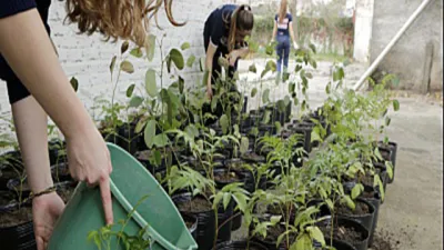 Urdinarrain desarrolla actividades en la semana del Ambiente 
