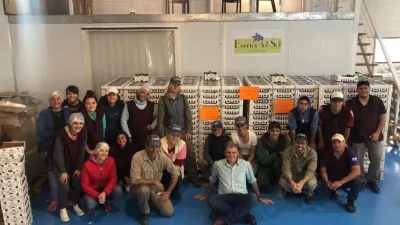 Una empresa de Concordia concretó el primer embarque de arándanos a Israel