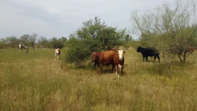 área natural protegida