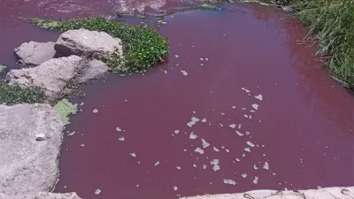 Imagen de archivo cuando el arroyo Espinillo apareció inundado de sangre por el volcado del Frigorífico Soychú.