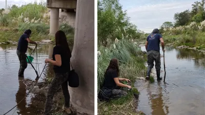 El equipo de trabajo realizando el relevamiento en el arroyo Salto. Foto Gentileza equipo de investigación científico.