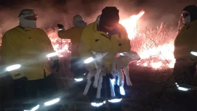 La ministra de Gobierno y Justicia, Rosario Romero, destacó la labor de la Brigada Forestal de la Policía para socorrer y salvar del fuego a una escuela rural ubicada en islas y varias viviendas de la zona. 