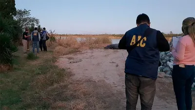 cádaver Sauce Viejo