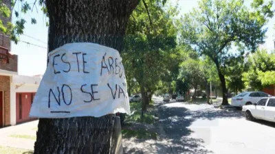 Inesperado cierre de la etapa probatoria por la tala de calle Racedo