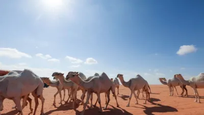 La OMS alerta ante un caso positivo del virus MERS, una variante más letal del Covid-19.