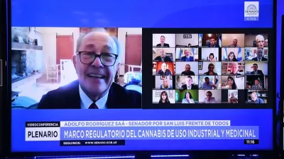 Hubo dictamen del proyecto de marco regulatorio para el cannabis medicinal e industrial