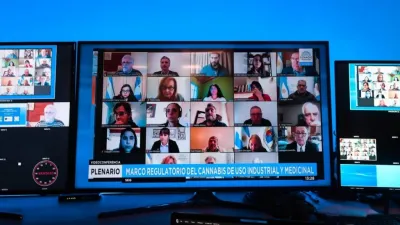 Nuevos especialistas expusieron por la regulación del cannabis industrial