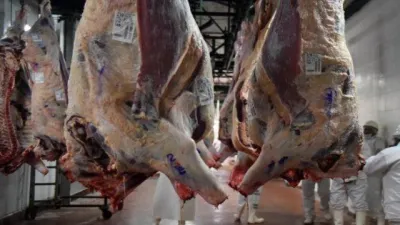 El Ministerio de Agricultura suspendió la operación de 12 empresas exportadoras de carne