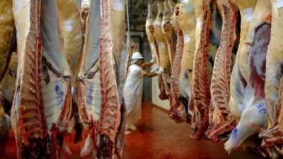 carne