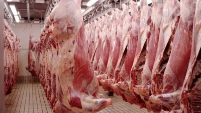 El gobierno cerrará las exportaciones de carne por 30 días