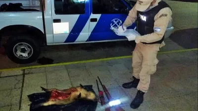 Detuvieron a tres uruguayos que cruzaron la frontera para cazar