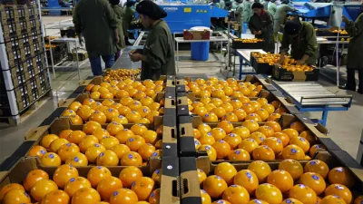 Las autoridades provinciales se reunieron con los representantes de la Cámara de Exportadores de Citrus para analizar la realidad del sector y sus perspectivas.