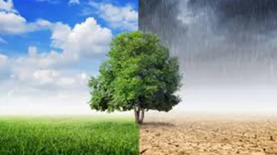 En las próximas semanas más de 190 países convocados por Naciones Unidas, se encontrarán en la reunión anual denominada COP-25, donde el cambio climático será el tema central.