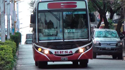 colectivos