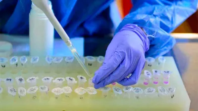 coronavirus análisis