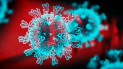 coronavirus célula 