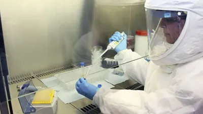 coronavirus