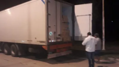 Incautaron 24 toneladas de pescados sin declarar