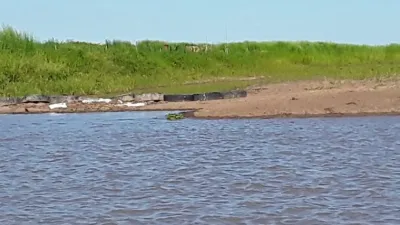 Denunciaron que taponaron con silo bolsas dos arroyos en el Delta