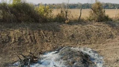 Vecinos de Gobernador Etchevehere denunciaron a la comuna por tala y quema de un monte nativo.