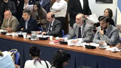 Reunión de comisiones en Diputados