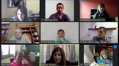 Diputados disolución LAER