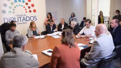 Romero expuso ante diputados sobre el proyecto de ley de la Fiscalía Anticorrupción