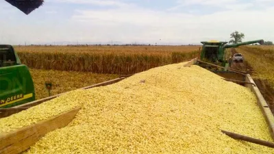 Prevén al menos 2.000 millones de dólares por liquidación de exportaciones hasta el 31 de agosto.