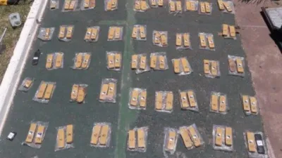 Incautaron en Entre Ríos un cargamento de droga valuado en $40 millones
