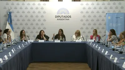 Iniciará en el Congreso la reforma de la Ley de Protección Integral de las Mujeres