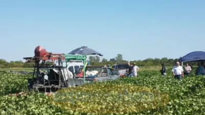 búsqueda familia Gill