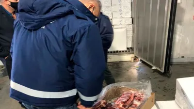 inspección frigorífico