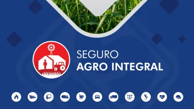 Seguro