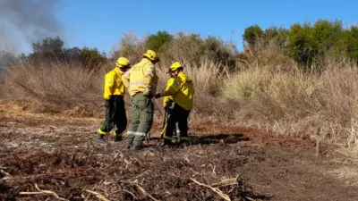 Pedirán a la Justicia Federal de Paraná investigar los incendios en el Delta