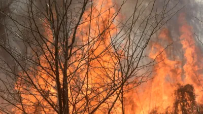 Ley de manejo del fuego.