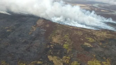 El texto prohíbe por 60 años los cambios en la utilización del suelo en los bosques nativos, áreas protegidas y humedales incendiados para intentar recuperarlos.