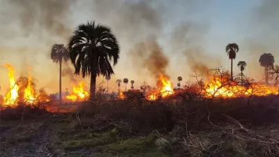 Las imágenes son dantescas. El fuego arrasa todo tipo de vegetación y consume gran parte del territorio que iba a ser el Parque Nacional Selva de Montiel.