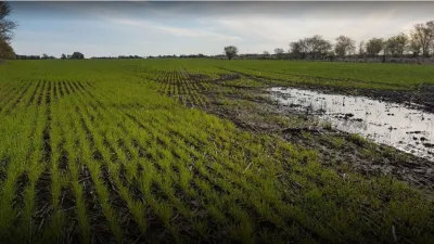 Lluvia en los campos
