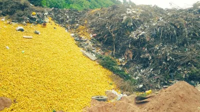 Limones en Tucumán