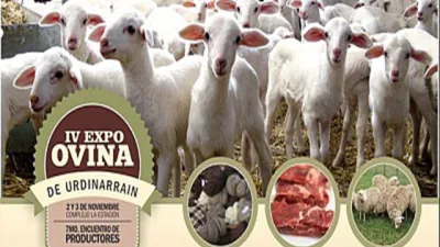 muestra ovina