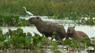 Fotografía de Danielle Hirsch.