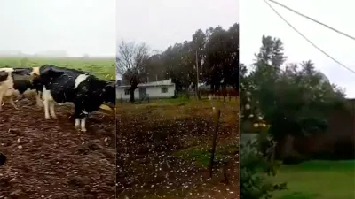 nieve sur de Santa Fe