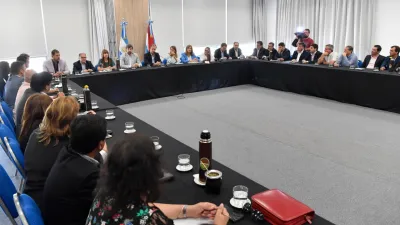Oliva en Paraná