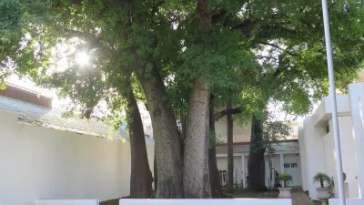 Relámpago de Verano 