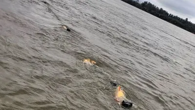 En plena veda, aparecieron mallas repletas de dorados en el río Uruguay