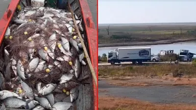 Pesca