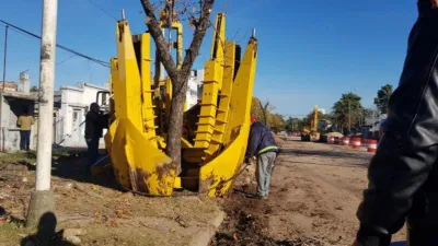 árboles Racedo traslado